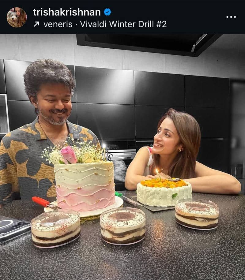 Trisha B Day Wishes To Cm Vijay Go Viral