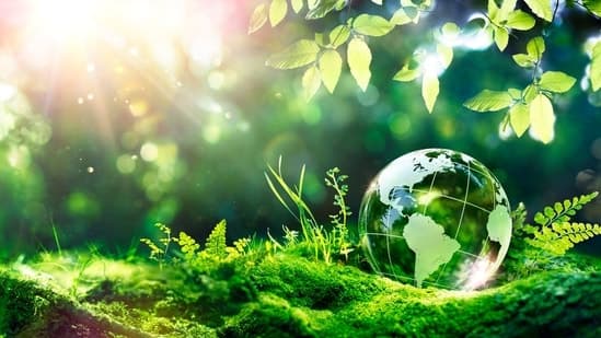 Indias Updated Climate Targets Reveal A Steady Path