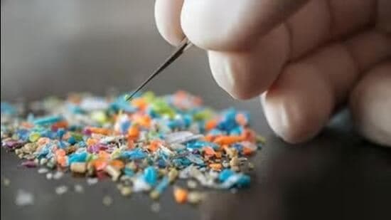 Scientifically Speaking Microplastics Are Inside Us But We Can Reduce Exposure