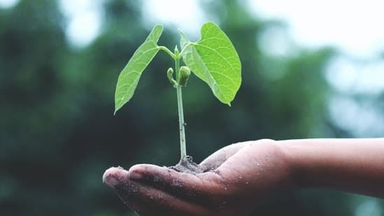Rethinking Sustainable Design