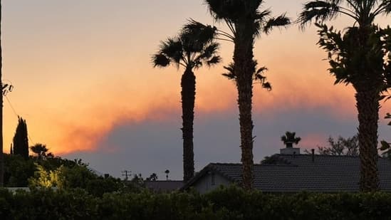 Palm Springs Fire Smoke From Shore Fire Causes Fear Among Residents Fire Department Clarification Watch Video California