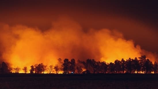 Sparks Nevada Navato Fire Update Huge Blaze Prompts Evacuation Orders Check Map As Scary Videos Emerge