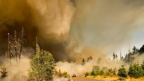 Utah Iron Fire Map Evacuation Updates Blaze Near Eureka Scorches Acres Smoke Visible In Juab And Tooele Counties