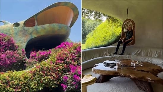 Step Inside The Teletubbies Coded Peanut Shaped Home In Mexico With No Straight Walls And Cave Like Interiors Watch