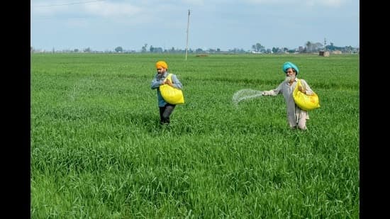 Punjab Tax Department Fresh Raids Target Firms Linked To Urea Diversion