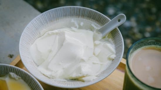 Discarding The Watery Layer That Sits On Top Of Your Yoghurt Gastroenterologist Explains Why You Shouldnt