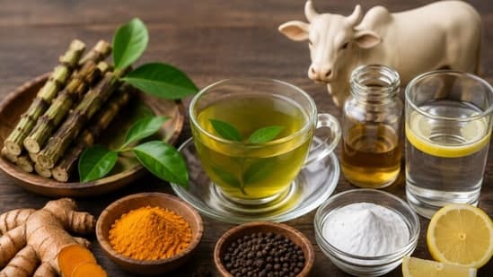 Oncologist Gives Cow Urine Minus 10 For Cancer Rates Giloy Turmeric Green Tea And Other Viral Remedies Out Of 10