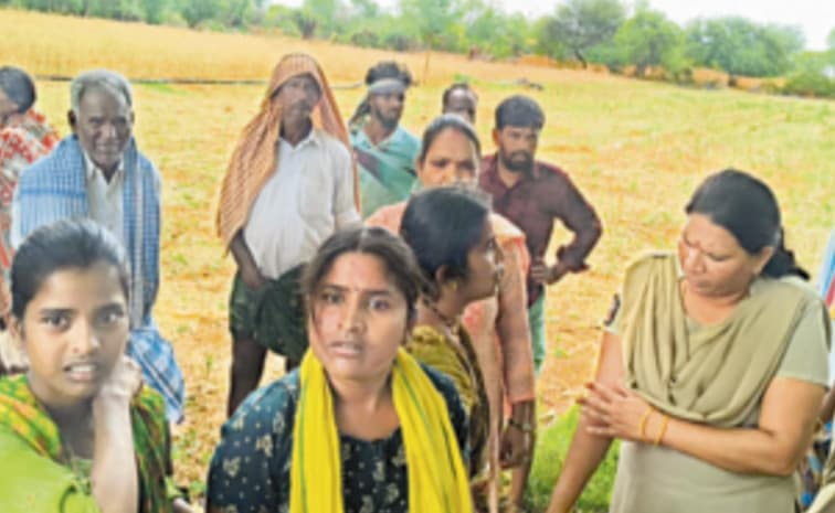 సర్వే చేయడానికి మీరు ఎవర్రా