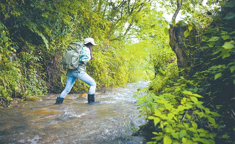 వర్షం రాసే దక్షిణ భారత ప్రయాణ గీతం