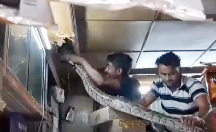 రేయ్ మావా.. ఇదేందిరా ఇంత ఉంది