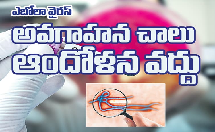 ఎబోలా వైరస్ అవగాహన చాలు ఆందోళన వద్దు