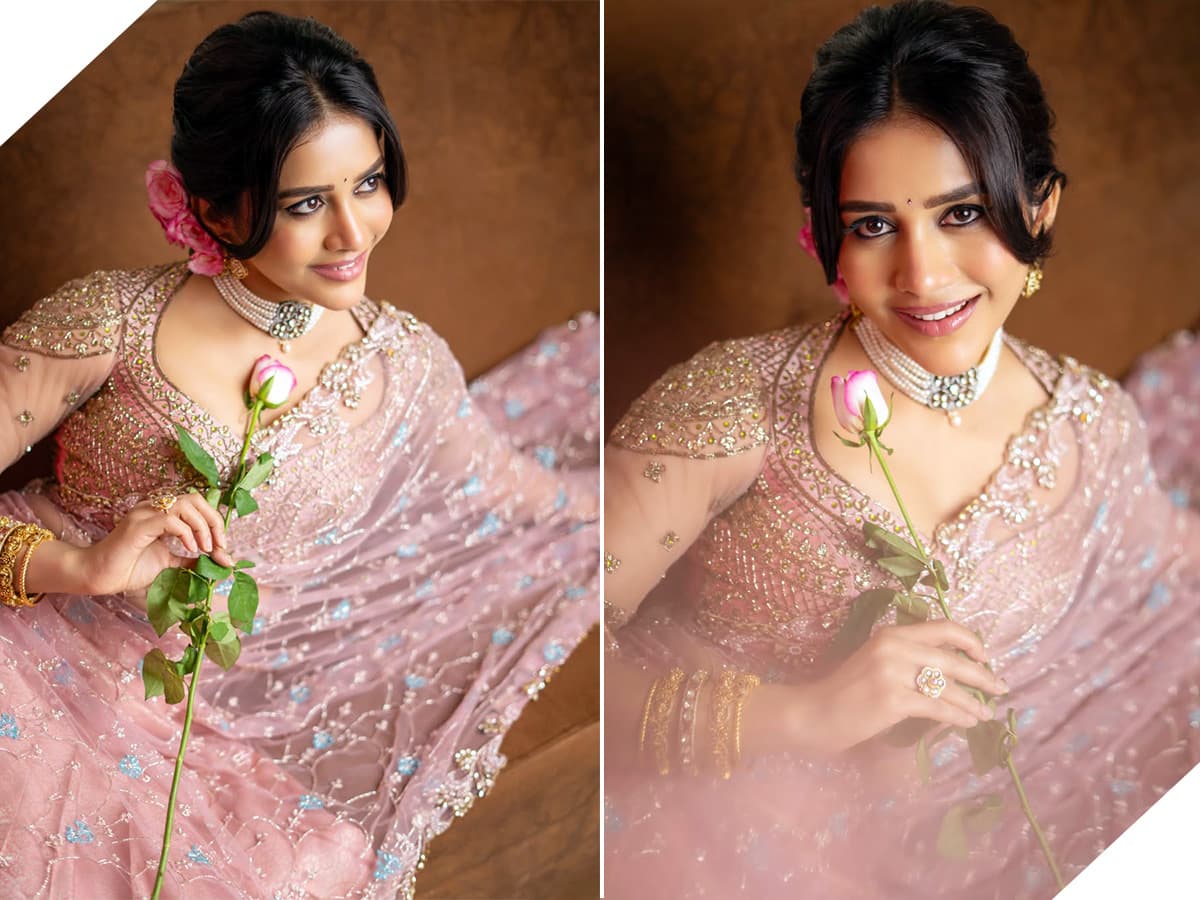 పింక్ డ్రెస్ లో మెరిసిపోతున్న నభా నటేశ్..ఫోటోలు
