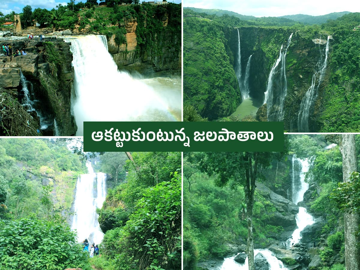ప్రకృతి ఒడిలో మైమరపించే జలపాతాలు ఎక్కడో తెలుసా? ఫొటోలు